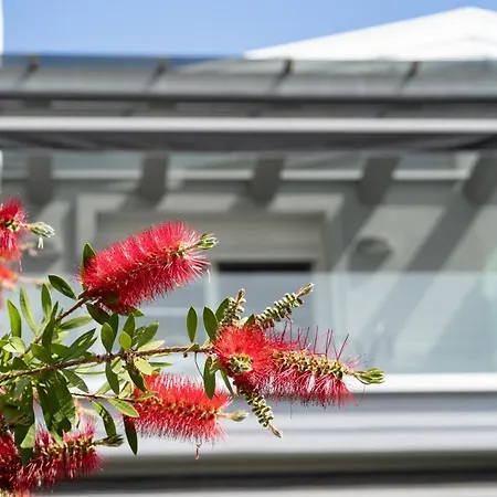 Hotel apartamentowy Edem Luxury 4*